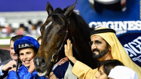 Правитель Дубая приобрел новых скакунов на крупнейшем в мире аукционе